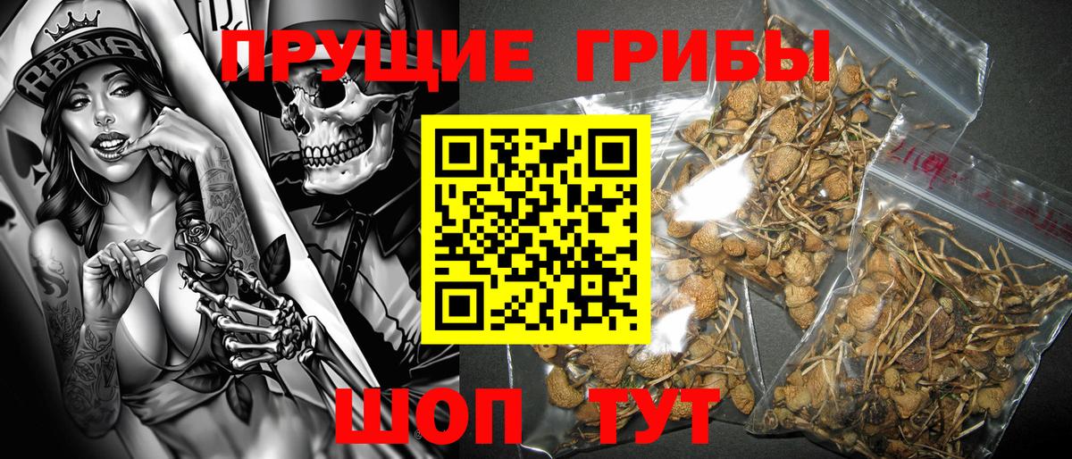 Псилоцибиновые грибы мухоморы  Вход с VPN  Холмск 
