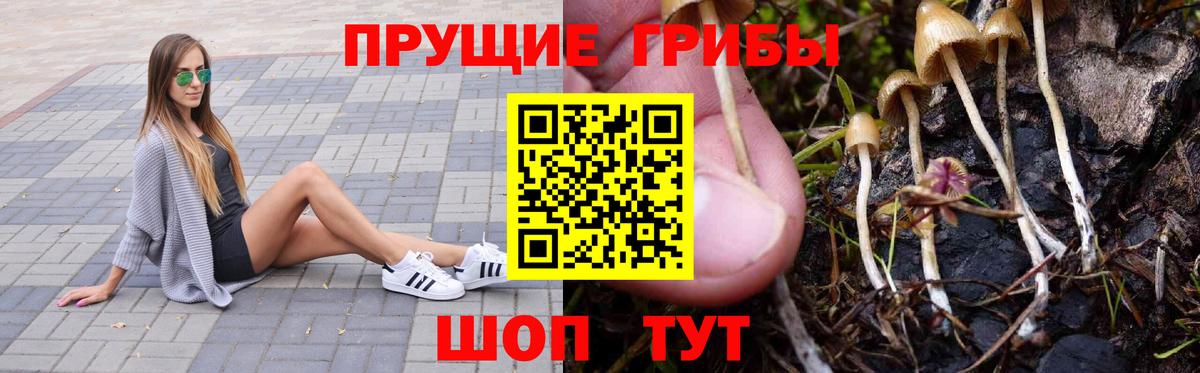 Галлюциногенные грибы прущие грибы Холмск